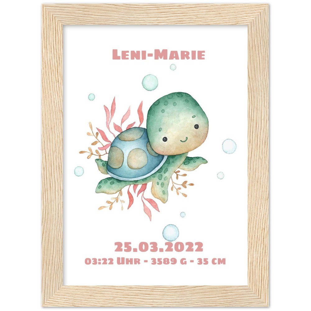 Kleine Schildkröte- Geschenk zur Geburt - Individualisiert -mit Rahmen